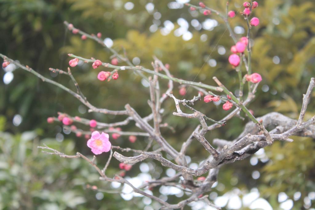 Hotel Kinugawa Onsen Sanraku Nikko Zewnętrze zdjęcie